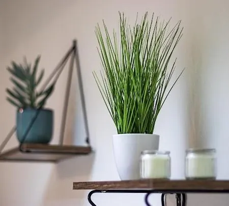 Apartment Center Cozy *