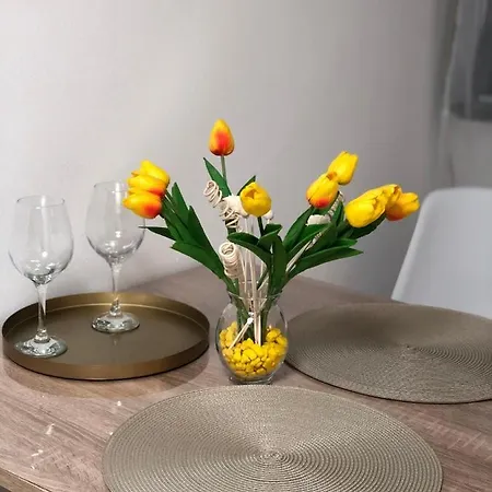 Center Cozy Apartment