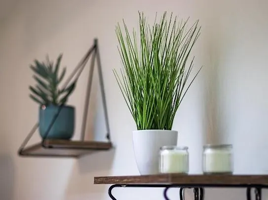 Appartamento Center Cozy *