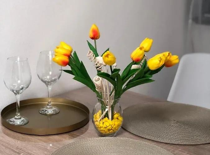 Center Cozy Appartamento